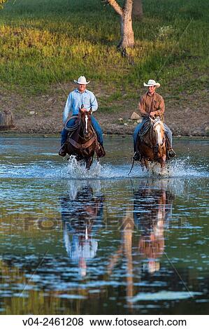 Two wranglers Cowboys on horses, riding through water, California, USA View Large Photo Image Stock Photo - Two wranglers Cowboys on horses, riding through water, California, USA. Fotosearch