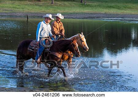 Stock Photograph - Two wranglers Cowboys on horses, riding through water, California, USA. Fotosearch