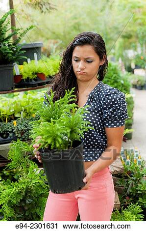 19 year old brunette woman holding a small potted tree in a plant nursery. View Large Photo Image Stock Image - 19 year old brunette woman holding a small potted tree in a plant nursery.. Fotosearch