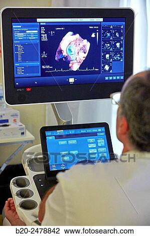 3D cardiac ultrasound, Hospital Donostia, San Sebastian, Gipuzkoa, Basque Country, Spain View Large Photo Image Stock Image - 3D cardiac ultrasound, Hospital Donostia, San Sebastian, Gipuzkoa, Basque Country, Spain. Fotosearch