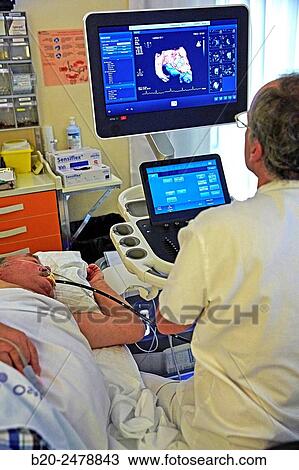 Stock Image - 3D cardiac ultrasound, Hospital Donostia, San Sebastian, Gipuzkoa, Basque Country, Spain. Fotosearch