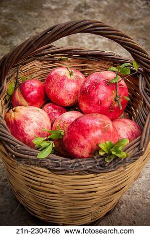 A basket with pomegranates at Pournaria village. Arcadia, Peloponnese, Greece. View Large Photo Image Stock Photo - A basket with pomegranates at Pournaria village. Arcadia, Peloponnese, Greece.. Fotosearch