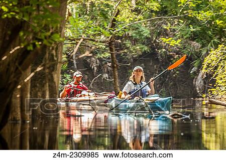 A man and a woman kayak in a coastal swamp. Georgia, USA View Large Photo Image Stock Photography - A man and a woman kayak in a coastal swamp. Georgia, USA. Fotosearch