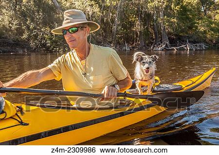 A man kayaks with his dog riding on the back of his boat. Georgia, USA View Large Photo Image Stock Photograph - A man kayaks with his dog riding on the back of his boat. Georgia, USA. Fotosearch