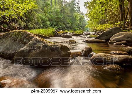 Stock Photo - A mountain stream in the morning light. North Georgia mountains, USA. Fotosearch