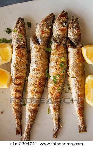 A traditional Greek food dish with small Hakes and lemons. Peloponnese, Greece. View Large Photo Image Stock Image - A traditional Greek food dish with small Hakes and lemons. Peloponnese, Greece.. Fotosearch