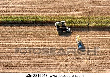 Aerial of harvesting corn silage in Ridgley, Maryland, USA. View Large Photo Image Stock Image - Aerial of harvesting corn silage in Ridgley, Maryland, USA.. Fotosearch