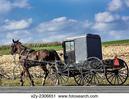 Amish buggy, Leacock, Lancaster County, Pennsylvania, USA. View Large Photo Image Stock Image - Amish buggy, Leacock, Lancaster County, Pennsylvania, USA.. Fotosearch