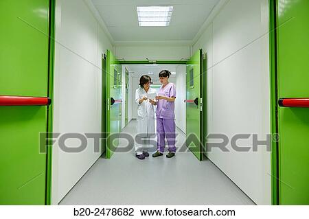 Stock Image - Anatomic Pathology, Hospital Donostia, San Sebastian, Gipuzkoa, Basque Country, Spain. Fotosearch