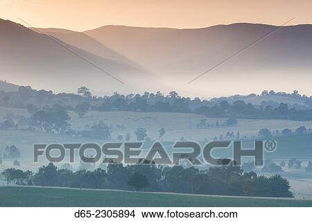 Australia, Victoria, VIC, Yarra Valley, landscape, dawn. View Large Photo Image Picture - Australia, Victoria, VIC, Yarra Valley, landscape, dawn.. Fotosearch