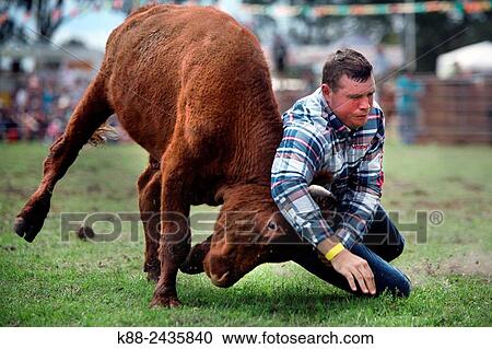 Australian Cowboys at the annual Lang Lang Rodeo. Victoria, Australia. View Large Photo Image Stock Image - Australian Cowboys at the annual Lang Lang Rodeo. Victoria, Australia.. Fotosearch