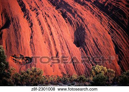 Stock Photo - Ayers Rock at Sunset- Uluru, Northern Australia, Australia.. Fotosearch