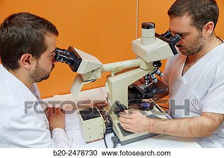 Binocular microscope heads for multiple viewing, Anatomic Pathology, Hospital Donostia, San Sebastian, Gipuzkoa, Basque Country, Spain View Large Photo Image Stock Image - Binocular microscope heads for multiple viewing, Anatomic Pathology, Hospital Donostia, San Sebastian, Gipuzkoa, Basque Country, Spain. Fotosearch