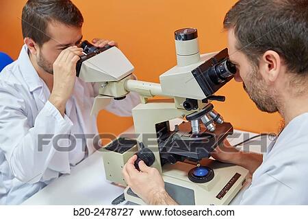 Binocular microscope heads for multiple viewing, Anatomic Pathology, Hospital Donostia, San Sebastian, Gipuzkoa, Basque Country, Spain View Large Photo Image Stock Photo - Binocular microscope heads for multiple viewing, Anatomic Pathology, Hospital Donostia, San Sebastian, Gipuzkoa, Basque Country, Spain. Fotosearch