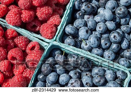 Blueberries and red raspberries for sale at Brooklyn´s Grand Army Plaza farmers´ market. View Large Photo Image Stock Photo - Blueberries and red raspberries for sale at Brooklyn´s Grand Army Plaza farmers´ market.. Fotosearch