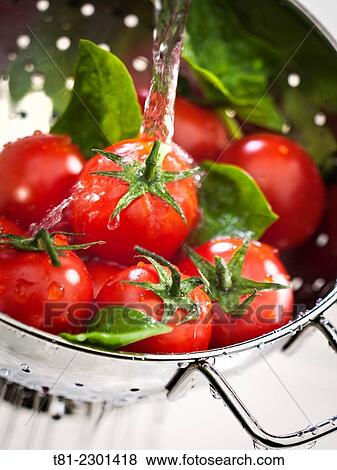 Bodegon feeding View Large Photo Image Stock Photo - Bodegon feeding. Fotosearch