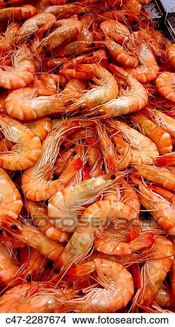 Boiled prawns View Large Photo Image Picture - Boiled prawns. Fotosearch