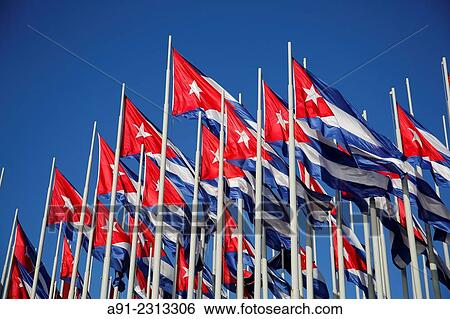 Carribean, Cuba republic, city of Habana the capital, El Malecon the wide boulevard along the sea, cuban flags View Large Photo Image Stock Photograph - Carribean, Cuba republic, city of Habana the capital, El Malecon the wide boulevard along the sea, cuban flags. Fotosearch