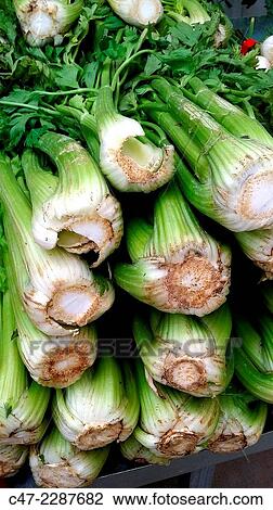 Celery View Large Photo Image Stock Image - Celery. Fotosearch