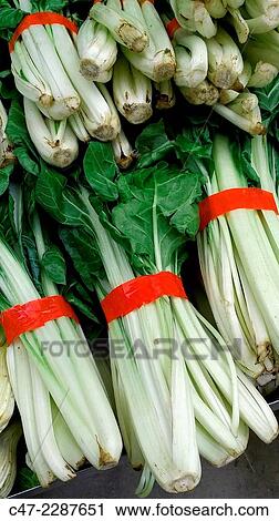 Stock Image - Chard. Fotosearch