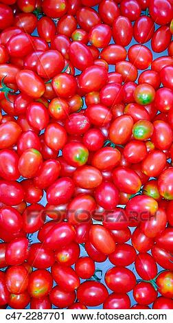 Cherry tomatoes View Large Photo Image Stock Image - Cherry tomatoes. Fotosearch