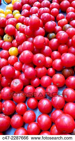 Cherry tomatoes View Large Photo Image Stock Photograph - Cherry tomatoes. Fotosearch