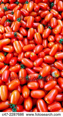 Cherry tomatoes View Large Photo Image Stock Photograph - Cherry tomatoes. Fotosearch