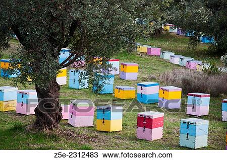 Stock Image - Colorful beehives in olive grove on Pelion Peninsula, Thessaly, Greece. Fotosearch