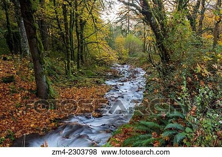 Creek at Wahkeena Falls in the Columbia River Gorge near Portland in the state of Oregon, USA. View Large Photo Image Stock Photo - Creek at Wahkeena Falls in the Columbia River Gorge near Portland in the state of Oregon, USA.. Fotosearch