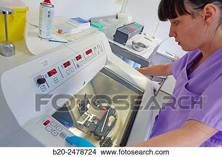 Cryostat for Standard Applications in the Clinical Histopathology Laboratory, Anatomic Pathology, Hospital Donostia, San Sebastian, Gipuzkoa, Basque Country, Spain View Large Photo Image Picture - Cryostat for Standard Applications in the Clinical Histopathology Laboratory, Anatomic Pathology, Hospital Donostia, San Sebastian, Gipuzkoa, Basque Country, Spain. Fotosearch