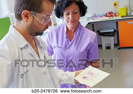 Stock Photograph - Cytology, Anatomic Pathology, Hospital Donostia, San Sebastian, Gipuzkoa, Basque Country, Spain. Fotosearch