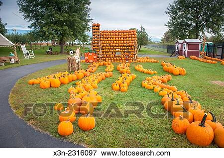 Decorative house made of pumpkins in Elkton, Maryland, USA. View Large Photo Image Stock Photo - Decorative house made of pumpkins in Elkton, Maryland, USA.. Fotosearch
