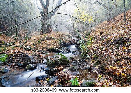Dehesa stream in the Sierra Cebollera. Somosierra. Madrid. Spain. Europe. View Large Photo Image Stock Photo - Dehesa stream in the Sierra Cebollera. Somosierra. Madrid. Spain. Europe.. Fotosearch