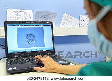 Stock Image - Embryo selection for IVF, URA, ARU, Assisted Reproduction Unit, In Vitro Fertilisation, Intra Cytoplasmic Sperm Injection, Hospital Donostia, San Sebastian, Gipuzkoa, Basque Country, Spain. Fotosearch