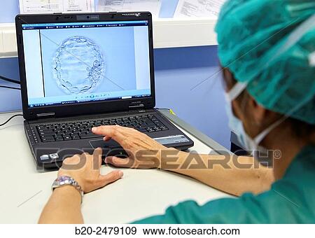 Embryo selection for IVF, URA, ARU, Assisted Reproduction Unit, In Vitro Fertilisation, Intra Cytoplasmic Sperm Injection, Hospital Donostia, San Sebastian, Gipuzkoa, Basque Country, Spain View Large Photo Image Stock Photo - Embryo selection for IVF, URA, ARU, Assisted Reproduction Unit, In Vitro Fertilisation, Intra Cytoplasmic Sperm Injection, Hospital Donostia, San Sebastian, Gipuzkoa, Basque Country, Spain. Fotosearch