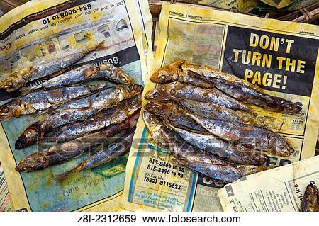 Fish displayed on Newspaper for sale at Market, Luzon, Philippines. View Large Photo Image Stock Photo - Fish displayed on Newspaper for sale at Market, Luzon, Philippines.. Fotosearch