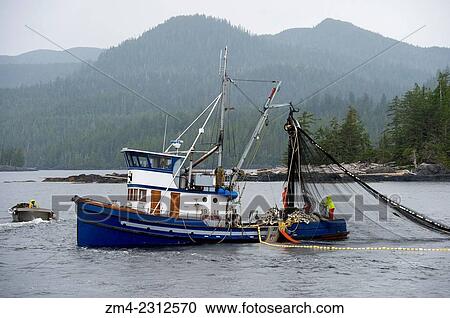 Fishing boat hauling in net at Point Alava, Misty Fjords National Monument, near Ketchikan in Southeast Alaska, USA. View Large Photo Image Stock Image - Fishing boat hauling in net at Point Alava, Misty Fjords National Monument, near Ketchikan in Southeast Alaska, USA.. Fotosearch