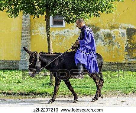 Flamboyant csikos horsemen are the region´s cowboys, famed for their horseback tricks.. View Large Photo Image Stock Image - Flamboyant csikos horsemen are the region´s cowboys, famed for their horseback tricks... Fotosearch