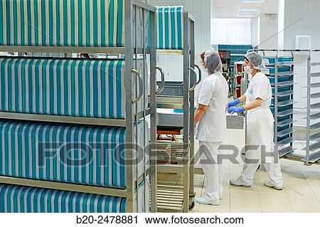 Food serving line, Hospital meal preparation, Kitchen, Hospital Donostia, San Sebastian, Gipuzkoa, Basque Country, Spain View Large Photo Image Stock Image - Food serving line, Hospital meal preparation, Kitchen, Hospital Donostia, San Sebastian, Gipuzkoa, Basque Country, Spain. Fotosearch