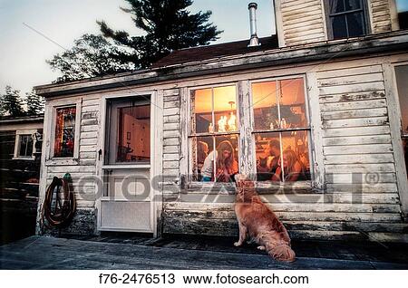 Golden retriever looking at young girl through the kitchen window off of wooden porch of rustic farmhouse, models released, mr_2907. View Large Photo Image Stock Image - Golden retriever looking at young girl through the kitchen window off of wooden porch of rustic farmhouse, models released, mr_2907.. Fotosearch