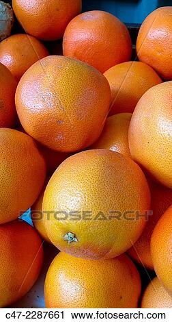 Grapefruit View Large Photo Image Stock Image - Grapefruit. Fotosearch