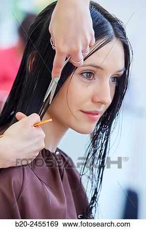 Hairdresser cutting the hair of a woman. Hairdressing salon and Beauty Clinic. View Large Photo Image Stock Photo - Hairdresser cutting the hair of a woman. Hairdressing salon and Beauty Clinic.. Fotosearch