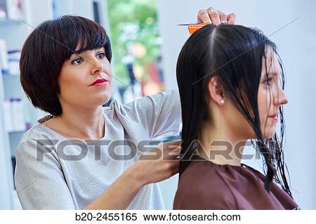 Hairdresser cutting the hair of a woman. Hairdressing salon and Beauty Clinic. View Large Photo Image Stock Photography - Hairdresser cutting the hair of a woman. Hairdressing salon and Beauty Clinic.. Fotosearch