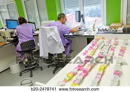 Histology, Microtome, Anatomic Pathology, Hospital Donostia, San Sebastian, Gipuzkoa, Basque Country, Spain View Large Photo Image Stock Image - Histology, Microtome, Anatomic Pathology, Hospital Donostia, San Sebastian, Gipuzkoa, Basque Country, Spain. Fotosearch