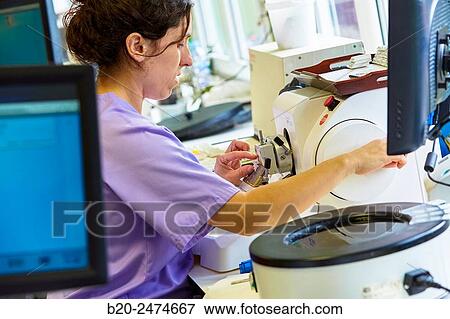 Histology, Microtome, Anatomic Pathology, Hospital Donostia, San Sebastian, Gipuzkoa, Basque Country, Spain View Large Photo Image Stock Photo - Histology, Microtome, Anatomic Pathology, Hospital Donostia, San Sebastian, Gipuzkoa, Basque Country, Spain. Fotosearch