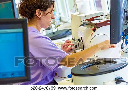 Histology, Microtome, Anatomic Pathology, Hospital Donostia, San Sebastian, Gipuzkoa, Basque Country, Spain View Large Photo Image Stock Photo - Histology, Microtome, Anatomic Pathology, Hospital Donostia, San Sebastian, Gipuzkoa, Basque Country, Spain. Fotosearch