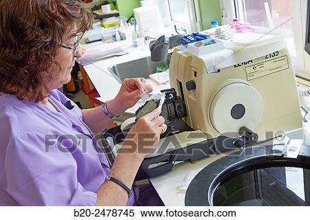 Histology, Microtome, Anatomic Pathology, Hospital Donostia, San Sebastian, Gipuzkoa, Basque Country, Spain View Large Photo Image Stock Photography - Histology, Microtome, Anatomic Pathology, Hospital Donostia, San Sebastian, Gipuzkoa, Basque Country, Spain. Fotosearch