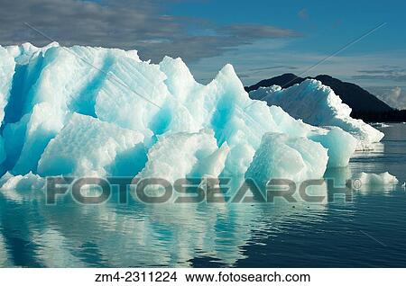 Picture - Icebergs from LeConte Glacier drifting in LeConte Bay, Tongass National Forest, Southeast Alaska, USA.. Fotosearch