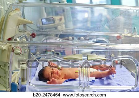 Incubator, Medical care, Neonate Intensive care Unit, ICU, Hospital Donostia, San Sebastian, Gipuzkoa, Basque Country, Spain View Large Photo Image Picture - Incubator, Medical care, Neonate Intensive care Unit, ICU, Hospital Donostia, San Sebastian, Gipuzkoa, Basque Country, Spain. Fotosearch