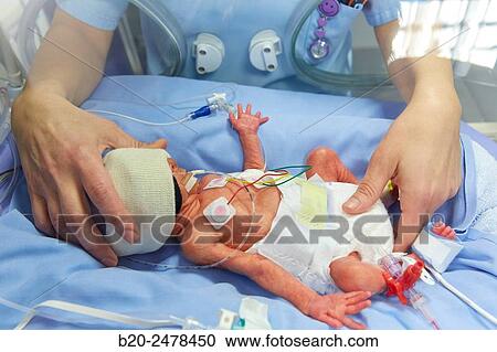 Stock Image - Incubator, Medical care, Neonate Intensive care Unit, ICU, Hospital Donostia, San Sebastian, Gipuzkoa, Basque Country, Spain. Fotosearch